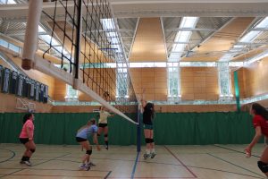 play volleyball